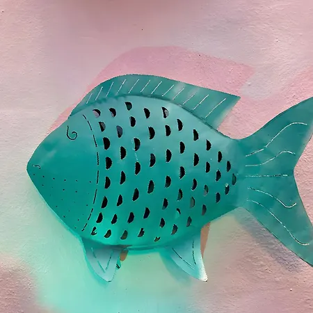 Santa Catalina 3* Conil De La Frontera