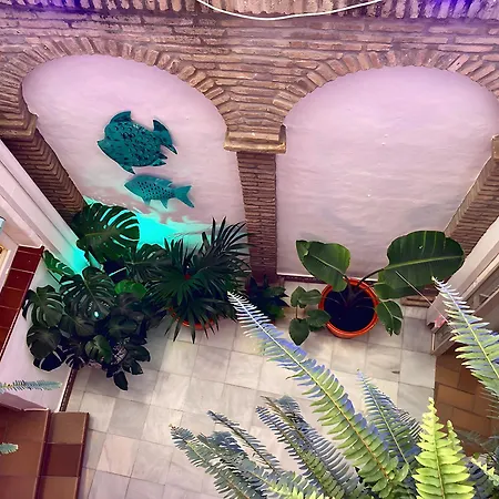 Santa Catalina 3* Кониль-де-ла-Фронтера